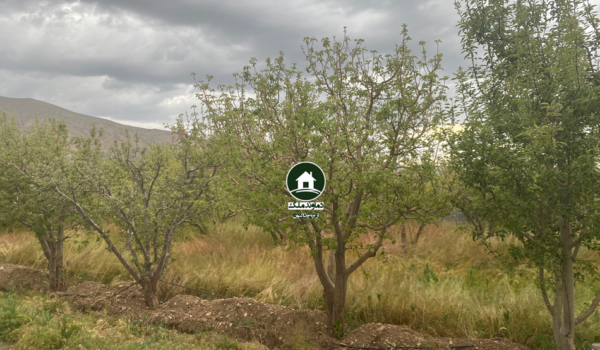 ۳۰۰ متر زمین شهرکی در باغستان جابان